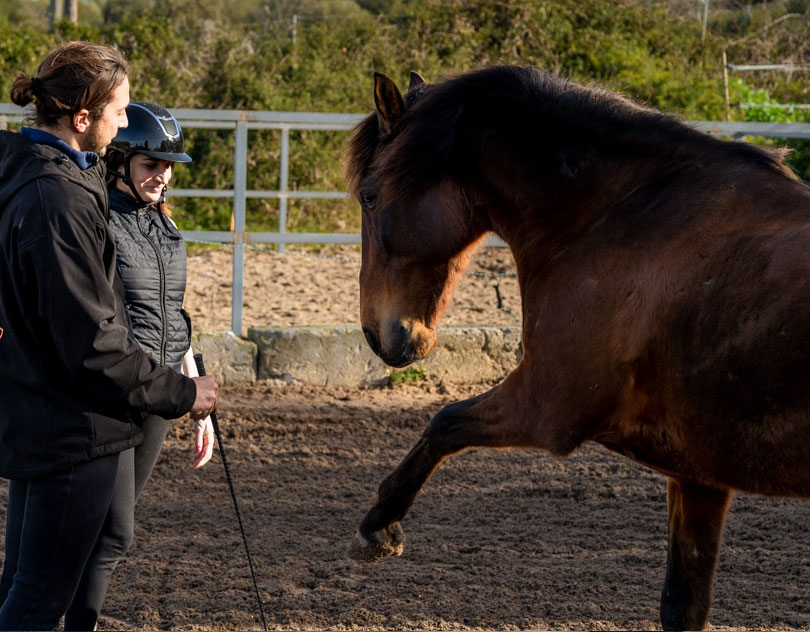 Buitenrit Vertrouwen & Verbinding excursie Mallorca - Spanje