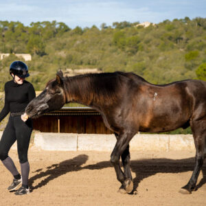 Buitenrit Vertrouwen & Verbinding excursie Mallorca - Spanje - Afbeelding 5