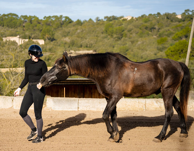 Buitenrit Vertrouwen & Verbinding excursie Mallorca - Spanje