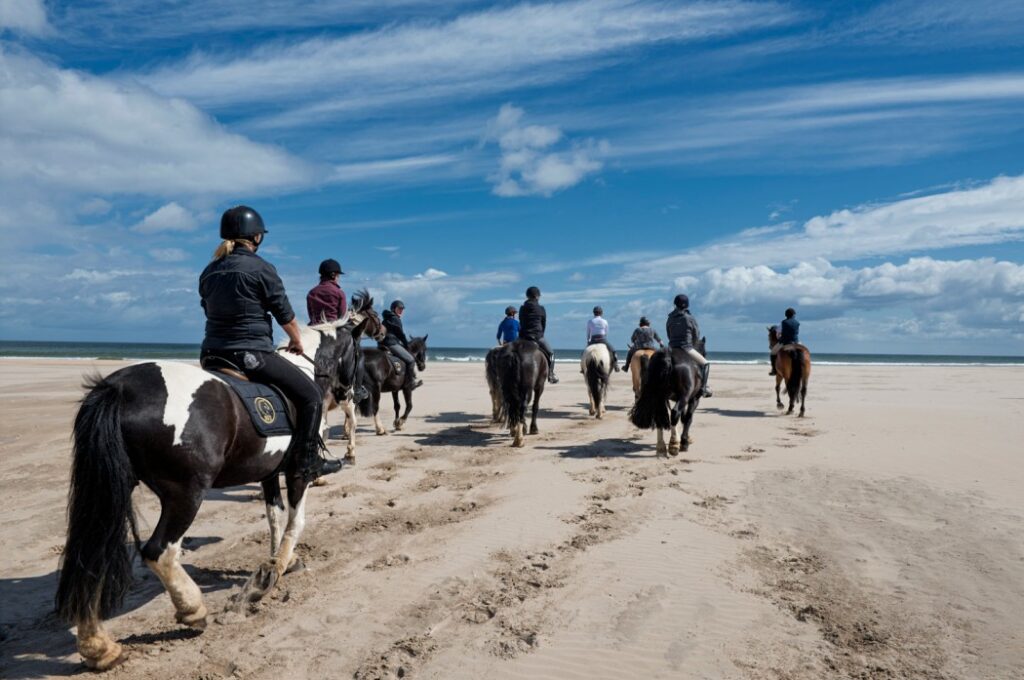 4, 5 of 6-daagse Paardrijtocht Heuvels en Noordkust - Ierland
