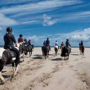 3-daagse Paardrijtocht Noordkust Rijavontuur - Ierland