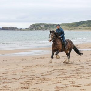 8-daagse Paardrijtocht Ierland Verkennen - Ierland - Afbeelding 12