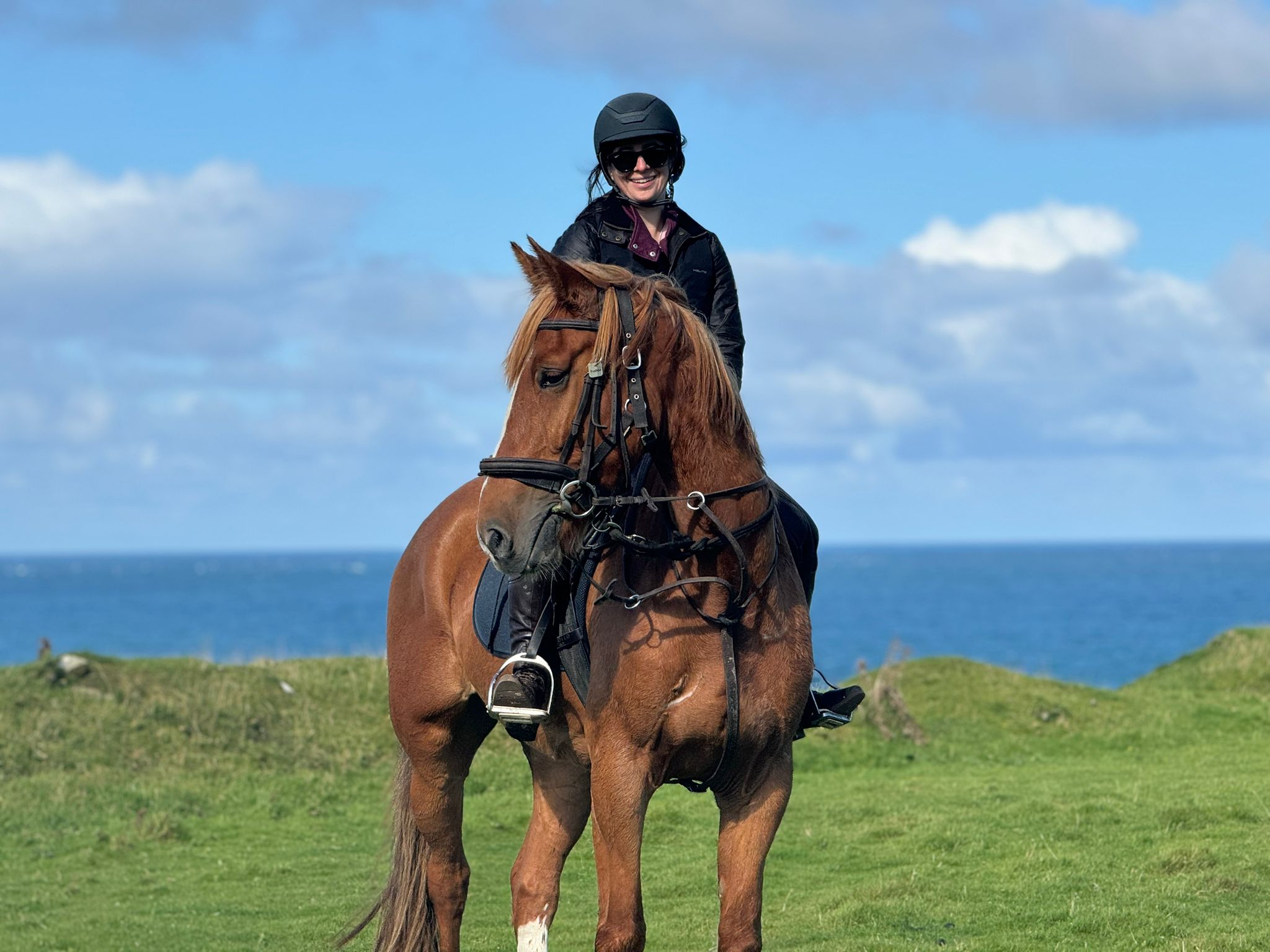 4-daagse Paardrijtocht Beginners - Ierland - Afbeelding 2