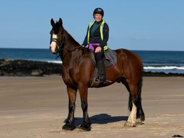 4-daagse Paardrijtocht Beginners met sightseeing- Ierland