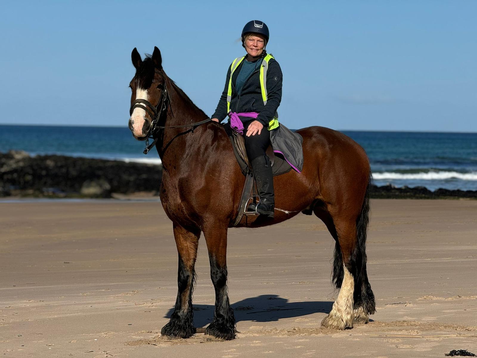 4-daagse Paardrijtocht Beginners - Ierland - Afbeelding 16