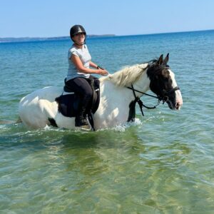 10-daagse Paardrijtocht Causeway Coast tot de Ring of Kerry - Ierland