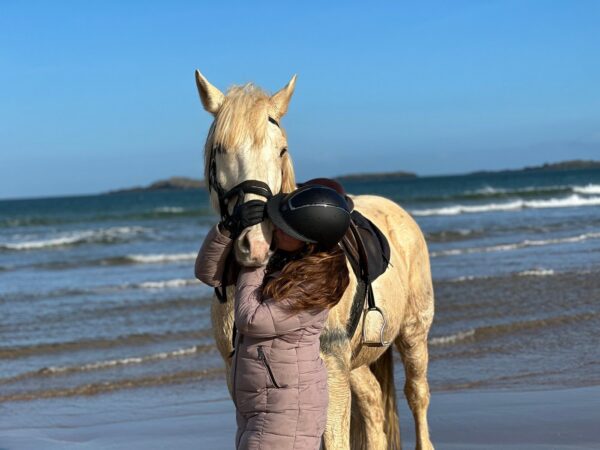 4-daagse Paardrijtocht Beginners - Ierland