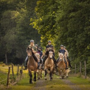 Paardrijkamp Söderåsen - Zweden