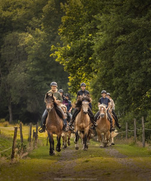 Paardrijkamp Söderåsen - Zweden