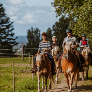 Paardrijkamp Söderåsen - Zweden - Afbeelding 14