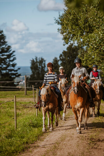 Paardrijkamp Söderåsen - Zweden