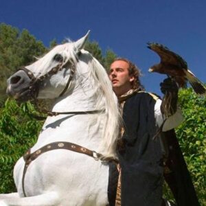 Buitenrit Mallorcaanse Zonsondergang en paardenshow excursie - Spanje - Afbeelding 2