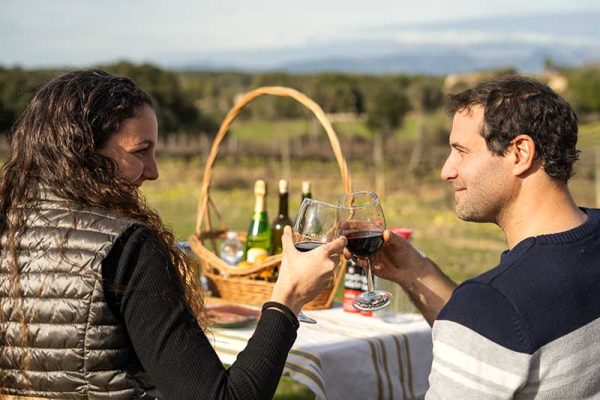 Buitenrit Picknick & Andalusische Paarden Mallorca excursie- Spanje