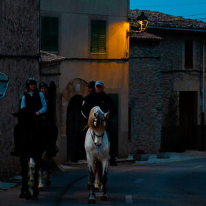 Paardrijdagtocht De berg van Randa Mallorca excursie - Spanje - Afbeelding 3