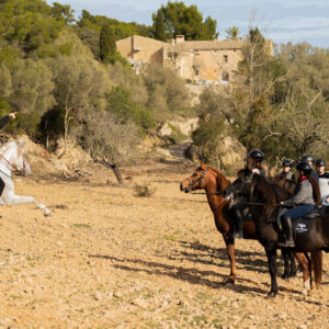 Paardrijdagtocht De berg van Randa Mallorca excursie - Spanje