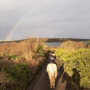 6-daagse paardrijtocht Atlantic Trail  – Ierland - Afbeelding 8