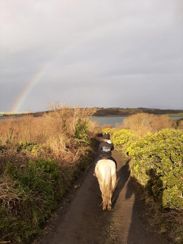 6-daagse paardrijtocht Atlantic Trail  – Ierland