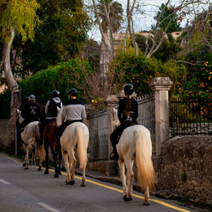 Buitenrit Mallorcaanse Zonsondergang en paardenshow excursie - Spanje - Afbeelding 3