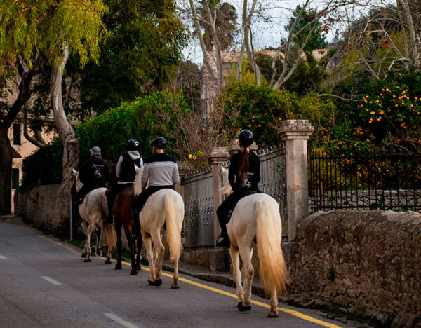 Buitenrit Mallorcaanse Zonsondergang en paardenshow excursie - Spanje