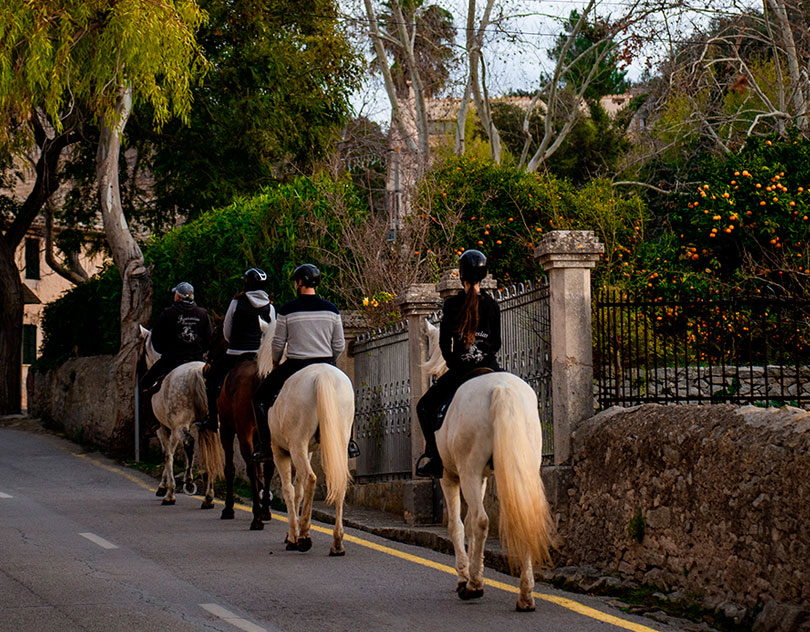 Buitenrit Mallorcaanse Zonsondergang en paardenshow excursie - Spanje - Afbeelding 3