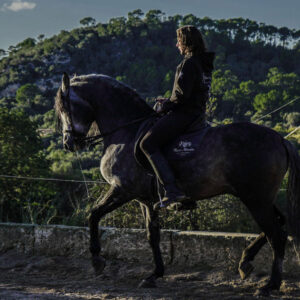 Buitenrit Mallorcaanse Zonsondergang en paardenshow excursie - Spanje - Afbeelding 4