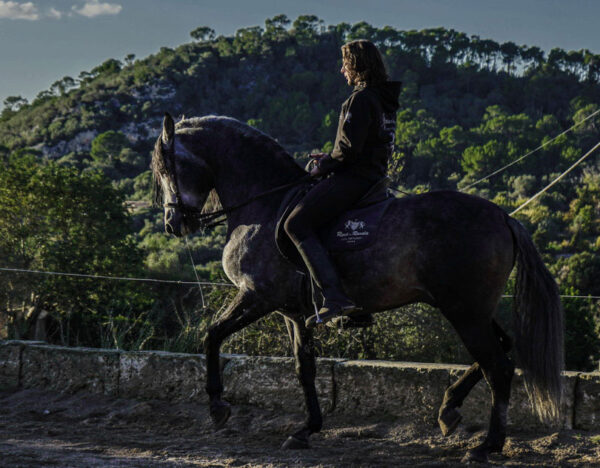 Buitenrit Mallorcaanse Zonsondergang en paardenshow excursie - Spanje