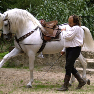 Buitenrit Mallorcaanse Zonsondergang en paardenshow excursie - Spanje