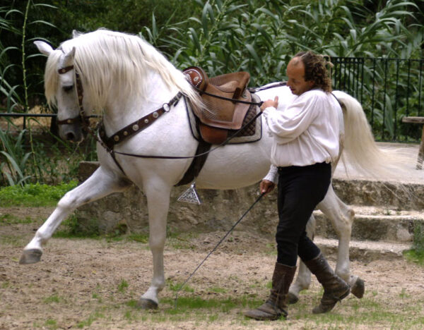 Buitenrit Mallorcaanse Zonsondergang en paardenshow excursie - Spanje