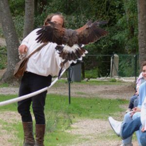 Buitenrit Mallorcaanse Zonsondergang en paardenshow excursie - Spanje - Afbeelding 5