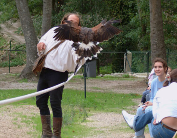 Buitenrit Mallorcaanse Zonsondergang en paardenshow excursie - Spanje