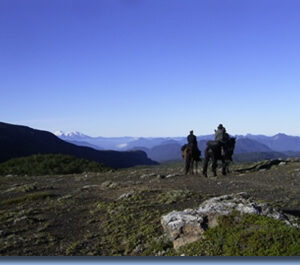 8-daagse paardrijtocht door Villarrica en Huerquehue National Park - Chili - Afbeelding 7