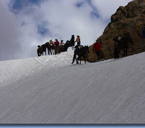 8-daagse paardrijtocht door Villarrica en Huerquehue National Park - Chili - Afbeelding 6