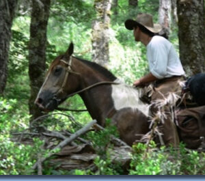 8-daagse paardrijtocht door Villarrica en Huerquehue National Park - Chili - Afbeelding 4