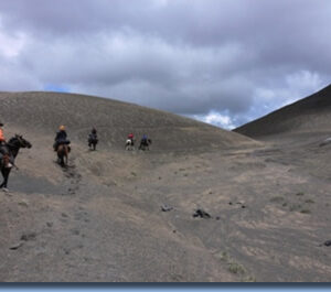 8-daagse paardrijtocht door Villarrica en Huerquehue National Park - Chili - Afbeelding 3