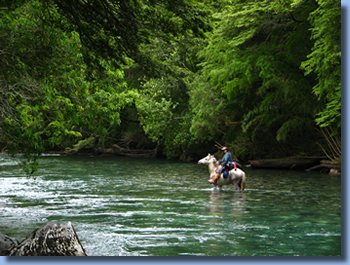 8-daagse paardrijtocht door Villarrica en Huerquehue National Park - Chili - Afbeelding 9