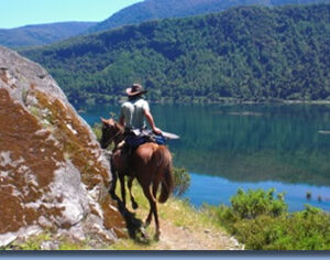 4-daagse paardrijtocht in Huerquehue National Park - Chili - Afbeelding 6