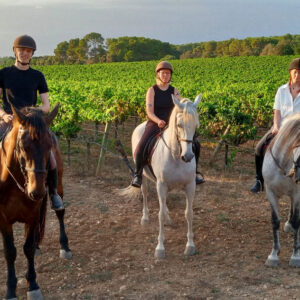 Buitenrit Picknick & Andalusische Paarden Mallorca excursie- Spanje - Afbeelding 3