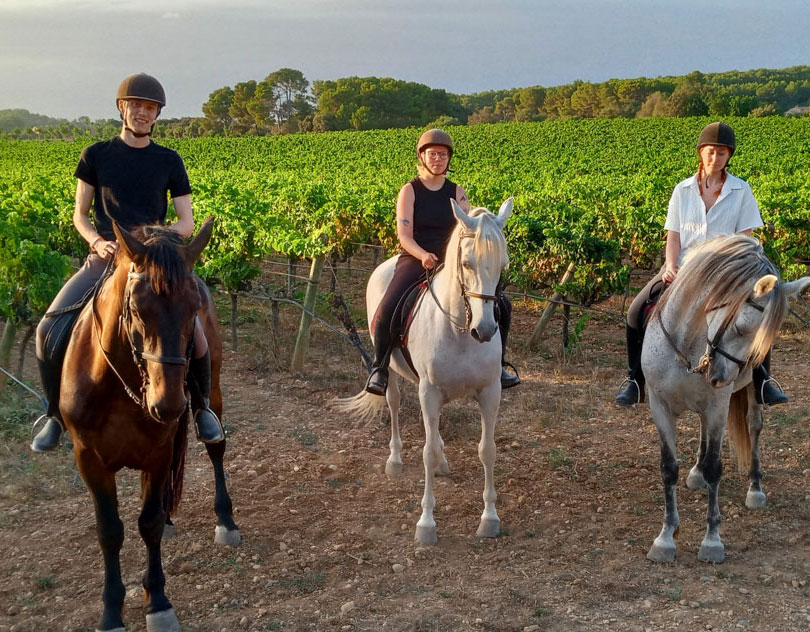 Buitenrit Picknick & Andalusische Paarden Mallorca excursie- Spanje - Afbeelding 3