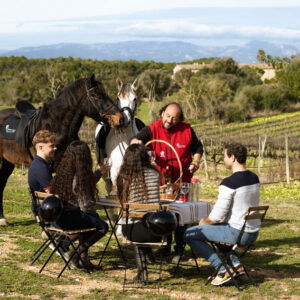 Buitenrit Picknick & Andalusische Paarden Mallorca excursie- Spanje