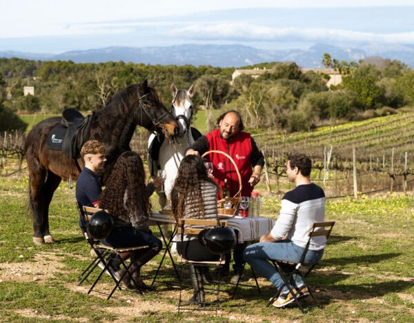 Buitenrit Picknick & Andalusische Paarden Mallorca excursie- Spanje