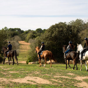 Buitenrit Picknick & Andalusische Paarden Mallorca excursie- Spanje - Afbeelding 4