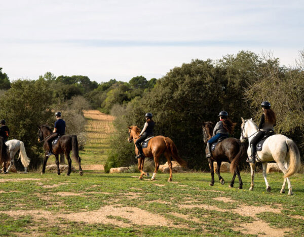 Buitenrit Picknick & Andalusische Paarden Mallorca excursie- Spanje