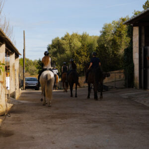 Buitenrit Picknick & Andalusische Paarden Mallorca excursie- Spanje - Afbeelding 5