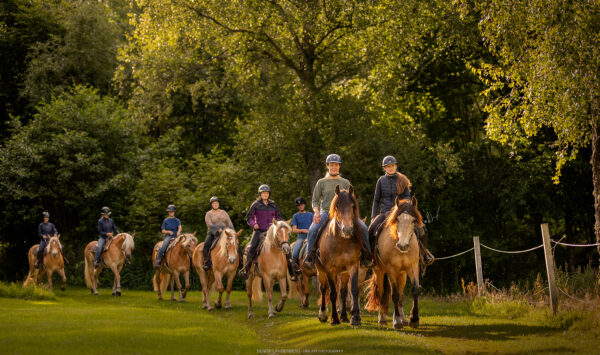 2-daagse Paardrijtocht Deluxe Paardenweekend Söderåsen - Zweden