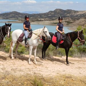 8-daagse paardrijvakantie: Lessen & Tochten Valencia - Spanje - Afbeelding 1