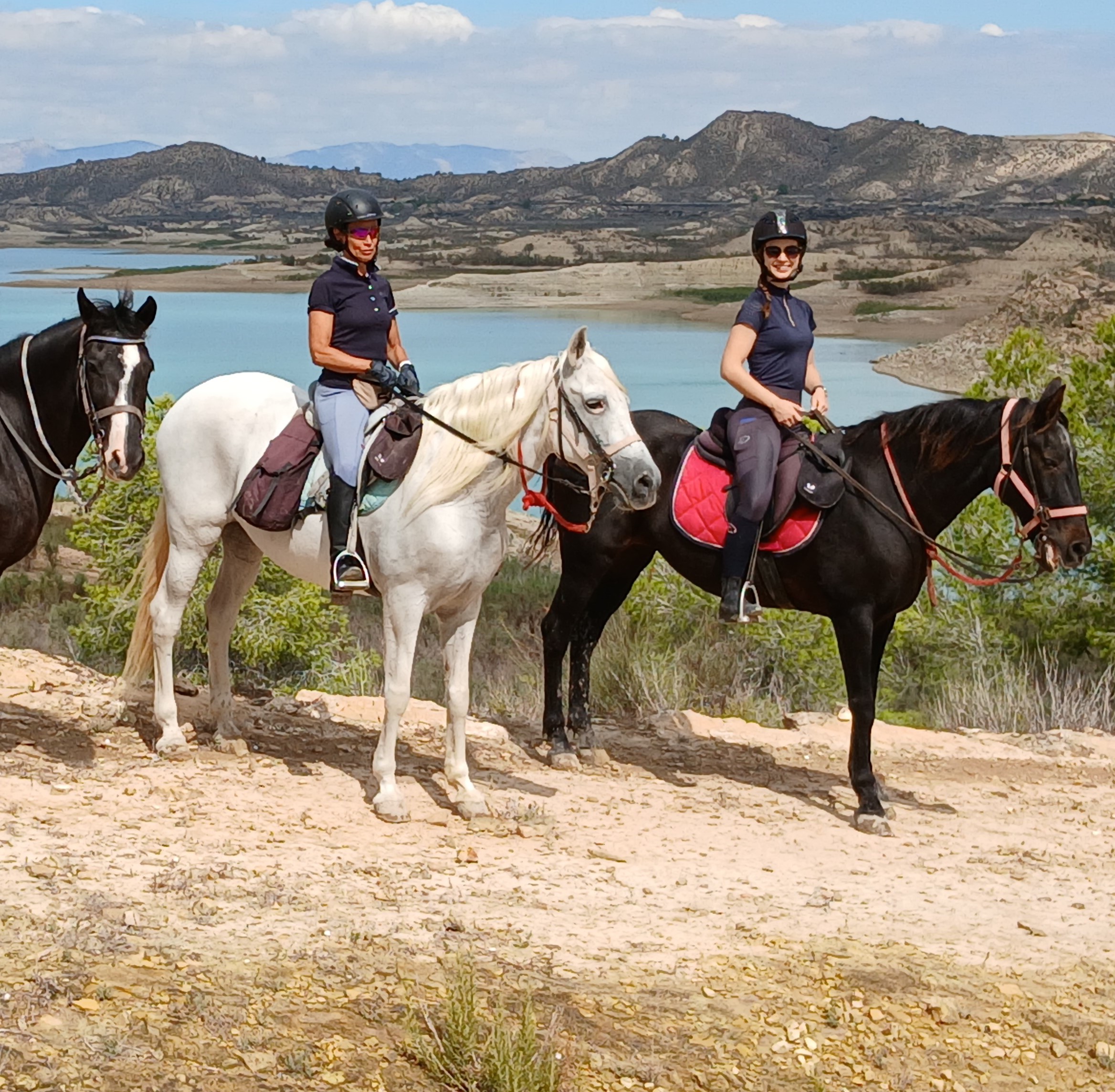 8-daagse paardrijvakantie: Lessen & Tochten Valencia - Spanje