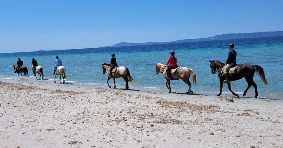 6-daagse paardrijtocht (8 dagen vakantie) 