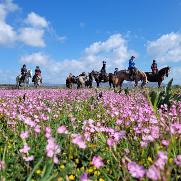 5- daagse paardrijtocht (7 dagen vakantie) 'Two Islands' Sardinie - Italie
