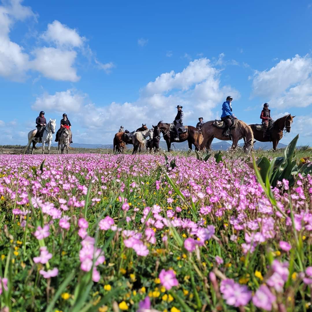 5- daagse paardrijtocht (7 dagen vakantie) 