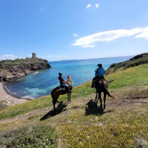 5- daagse paardrijtocht (7 dagen vakantie) 'Two Islands' Sardinie - Italie - Afbeelding 11